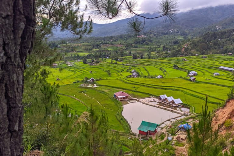 Tondok Bakaru, desa anggrek di Sulawesi Barat. Foto: Agus Mawan/ Mongabay Indonesia