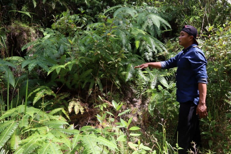 Kawasan hutan yang pernah dieksplorasi PT SMN