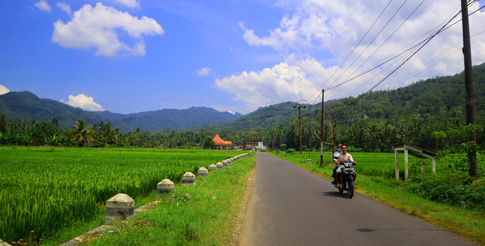 Bentang karst Trenggalek, yang jadi incaran perusahaan tambang, salah satu tambang emas. Foto: A. Asnawi/ Mongabay Indonesia