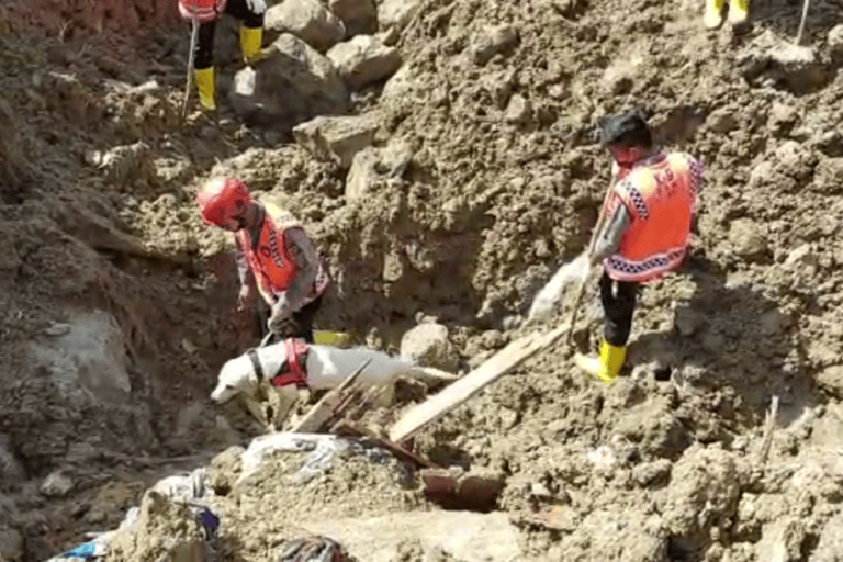 Anjing pelacak diturunkan untuk mencari korban tertimbun longsor di area proyek PLTA Batang Toru. Foto: Ayat S Karokaro/ Mongabay Indonesia