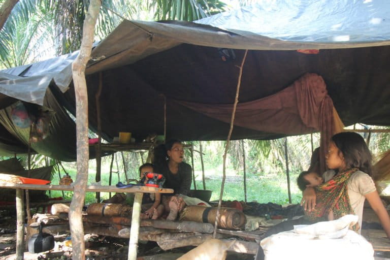 Orang Rimba di Merangin, yang hidup di sudung di antara kebun sawit. Foto: ELviza Diana/ Mongabay Indonesia