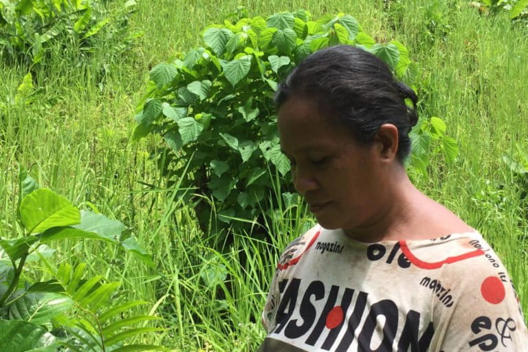 RIn Bodi, di kebun ladang padinya. Foto: M Ichi/ Mongabay Indonesia