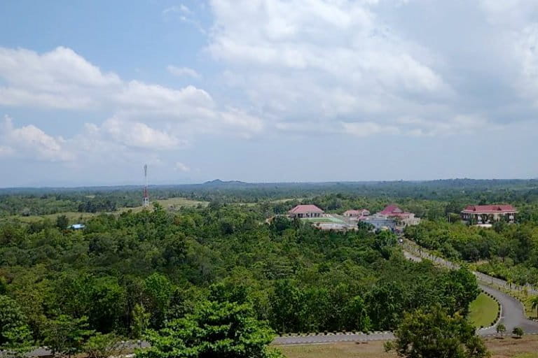 Hutan Natuna, berubah ke berbagai fungsi hingga ruang hidup kekah makin terdesak. Foto: Yogi Eka S/ Mongabay Indonesia 