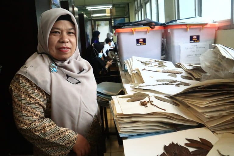 Nuraihas, Kepala Herbarium Anda. Foto: Jaka HB/ Mongabay Indonesia
