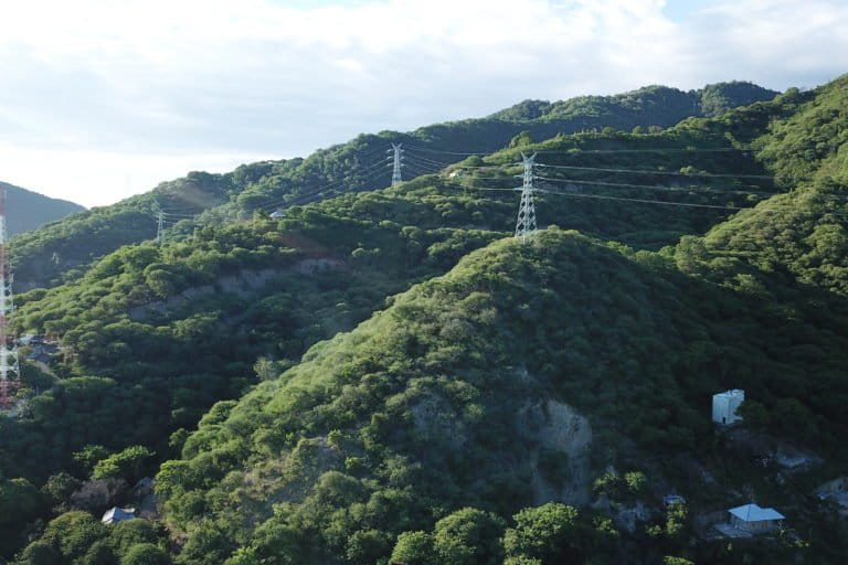 Hutan lindung ini pun terancam jalan lingkar. Foto: Sarjan Lahay/ Mongabay Indonesia