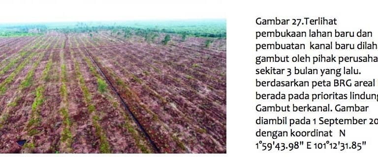 Sumber: pemantauan lapangan koalisi