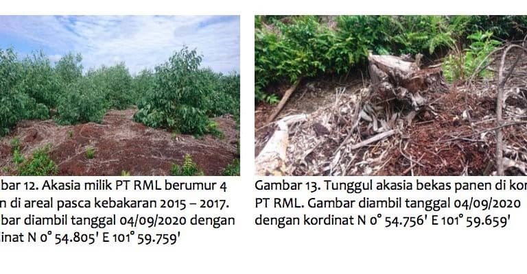 Sumber: pemantauan koalisi