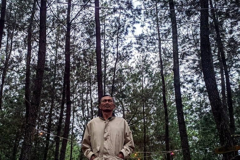 Benyamin di hutan pinus yang dia tanam puluhan tahun lalu. Foto: Agus Mawan/ Mongabay Indonesia