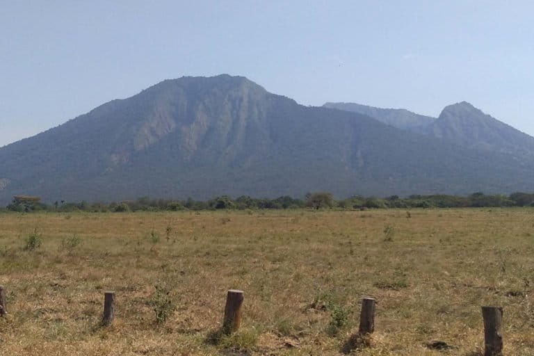 Gunung Baluran, salah satu pemandangan eksotis kala mengunjung Taman Nasional Baluran. Foto: Gafur Abdullah/ Mongabay Indonesia