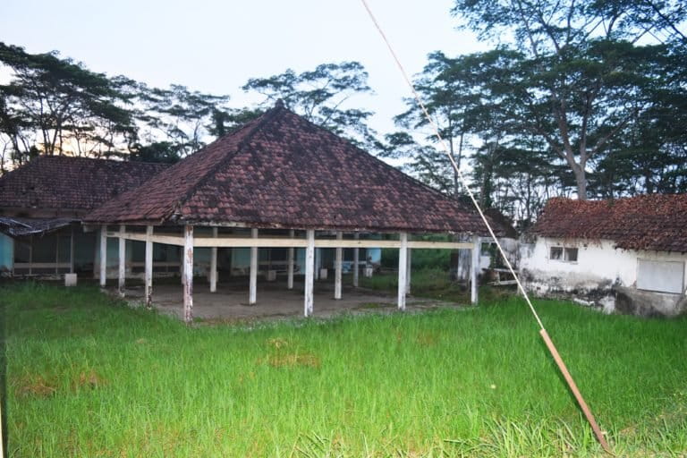 Warga menanam padi di halaman rumah terdampak lumpur Lapindo. Foto: A. Asnawi/ Mongabay Indonesia