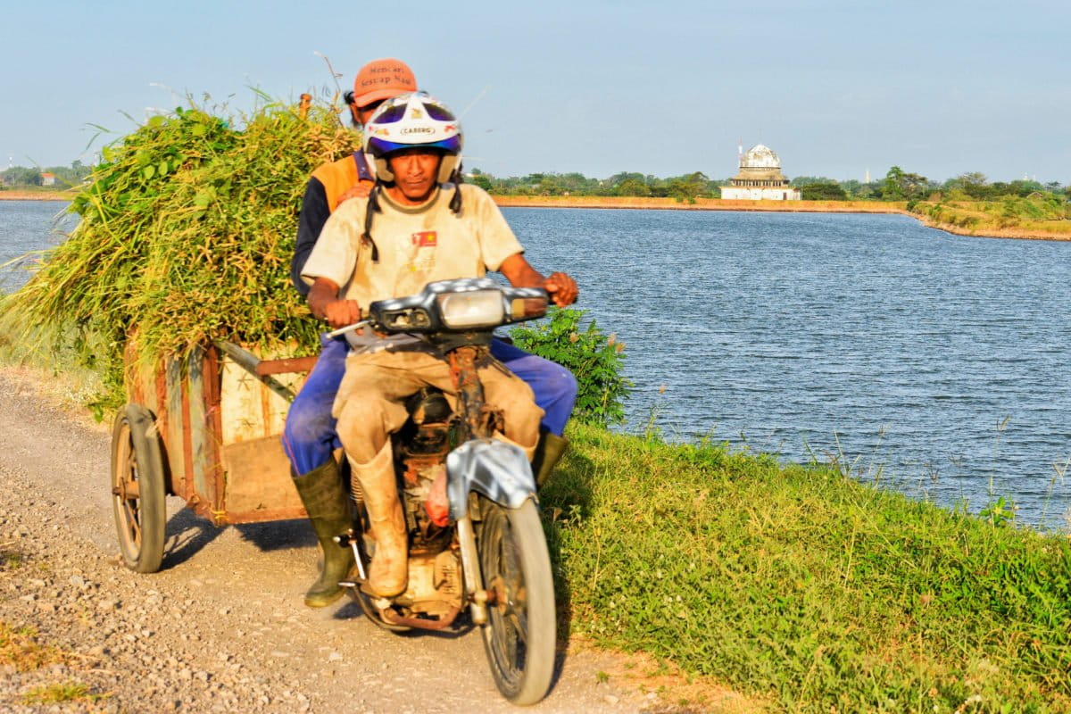 Warga tengah melintas membawa pakan ternak di tepian tanggul lumpur Lapindo. Foto: A. Asnawi/Mongabay Indonesia
