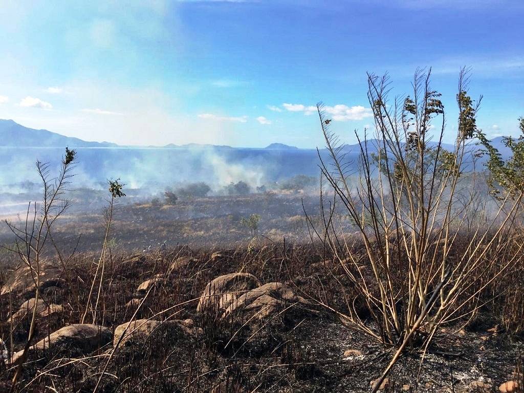 Ancaman Kekeringan Melanda NTT. Apa yang Harus Dilakukan?