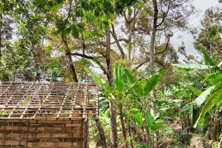 Agroforestri di Desa Galih, Kecamatan Pasrepan, Kabupaten Pasuruan. Kawasan ini menjadi bagian dalam kontrak pembayaran jasa lingkungan. Foto: A. Asnawi/ Mongabay Indonesia