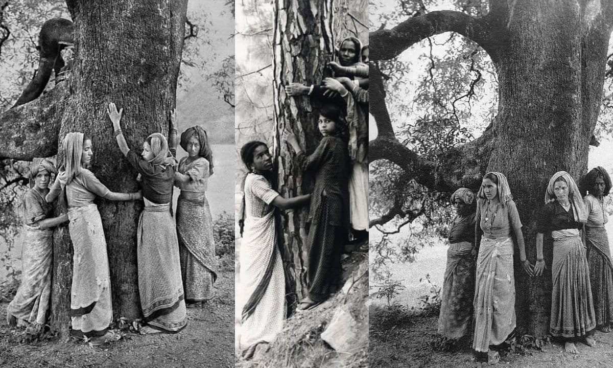 Treehugger India
