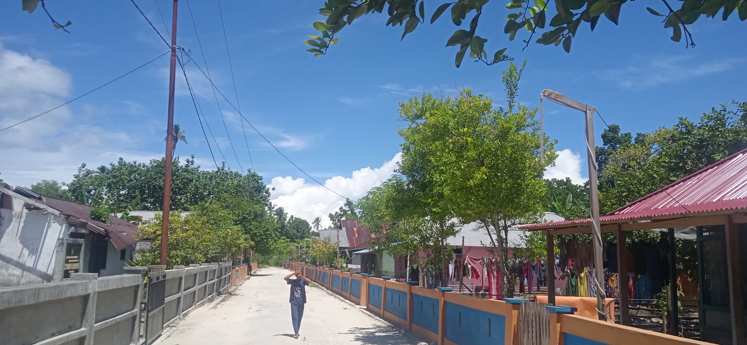 Pemandangan pemukiman dan mangrove di Desa Tawabi. Foto: Mahmud Ichi/ Mongabay Indonesia