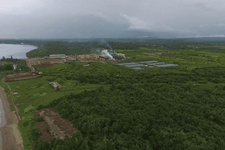 Pabrik sawit yang berada di tengah hutan mangrove. Foto: Christ Belseran
