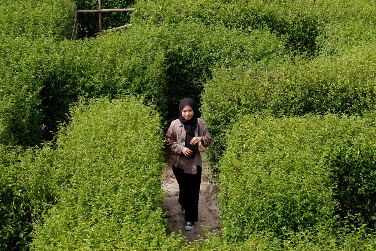Pengunjung melintas di labirin di wisata jambu madu Batam, Rabu, 11 Agustus 2021. Foto Yogi Sahputra/ Mongabay Indonesia 