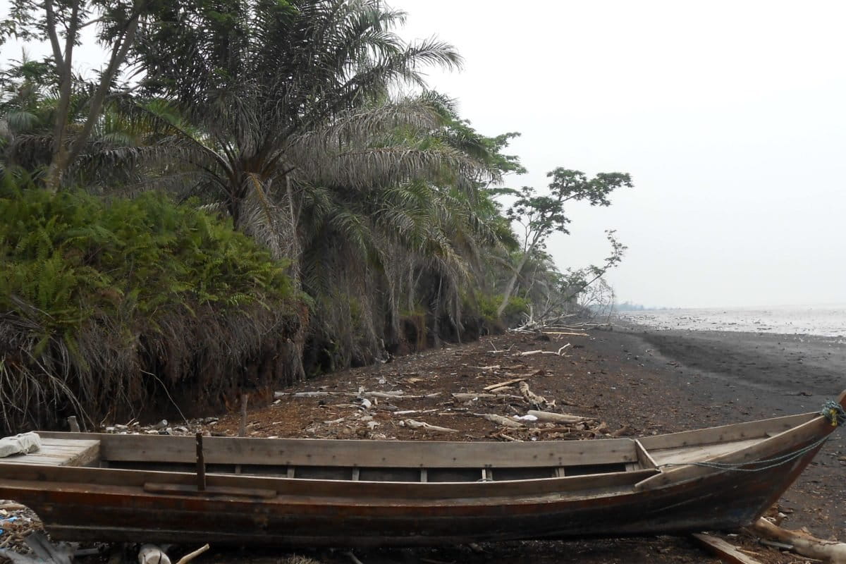 Gambut pesisir yang tergerus abrasi. Foto: Suryadi/ Mongabay Indonesia