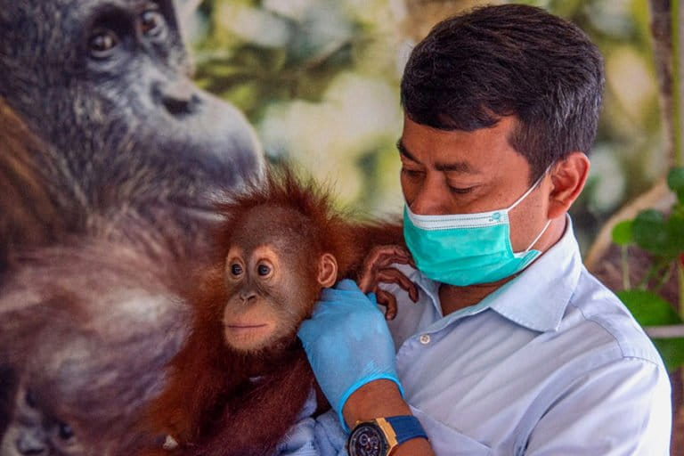 Seksi yalangoch etuk ayol