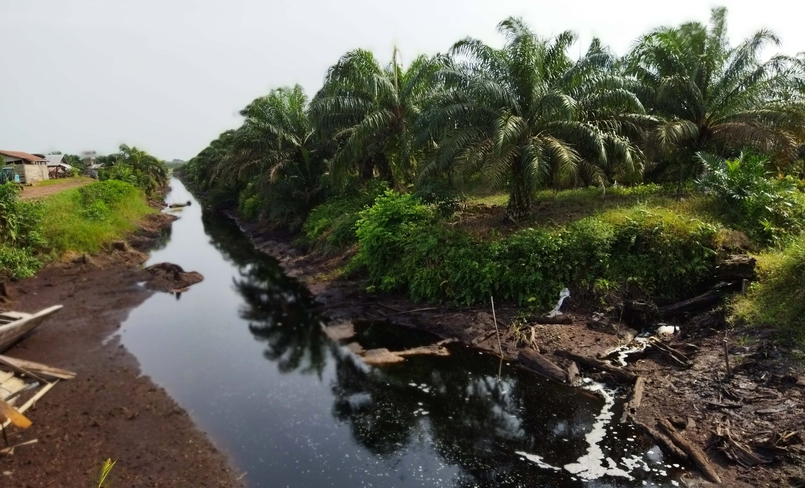 Kanal PT BEP yang bersebe,ahan dengan PT PDIW dengan air menyusut. Foto: Elviza Diana/ Mongabay Indonesia