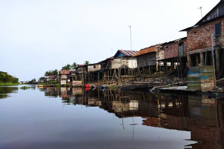 Raman di sepanjang sungai Kumpeh berseberangan dengan lokasi PT PDIW dan PT BEP.jpg