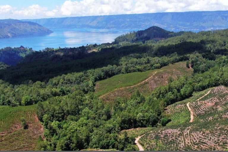 Kondisi hutan di sekitar Kawasan Danau Toba, terus tergerus. Foto: Koalisi Tutup TPL