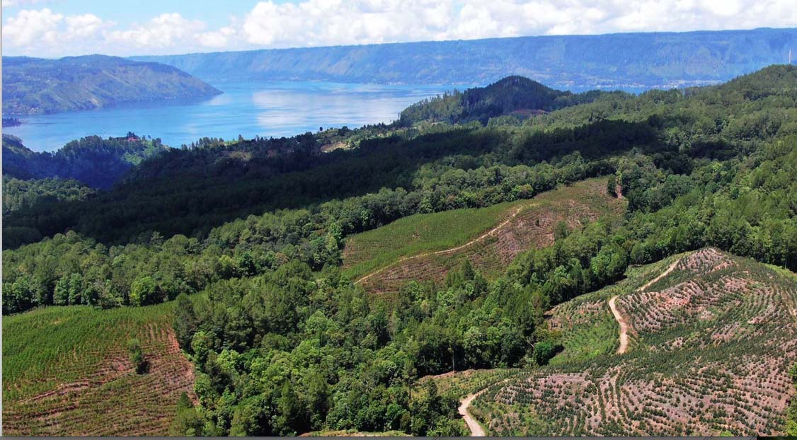Kondisi hutan di sekitar Kawasan Danau Toba, terus tergerus. Foto: Koalisi Tutup TPL