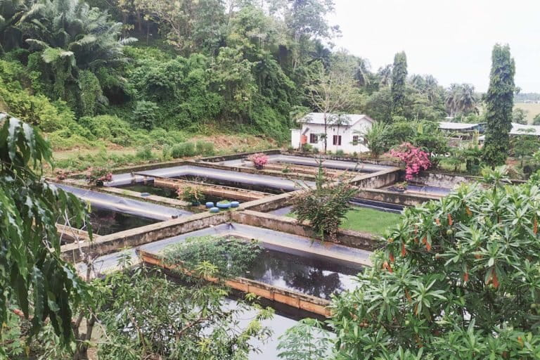 Bak penampung limbah cair di TAP Binuang. Foto: Agus Mawan/ Mongabay Indonesia