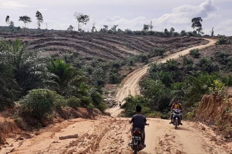 Persoalan lahan antara perusahaan kayu dan warga Rantau Kasih sudah ada titik penyelesaian? Foto: Suryadi/ Mongabay Indonesia