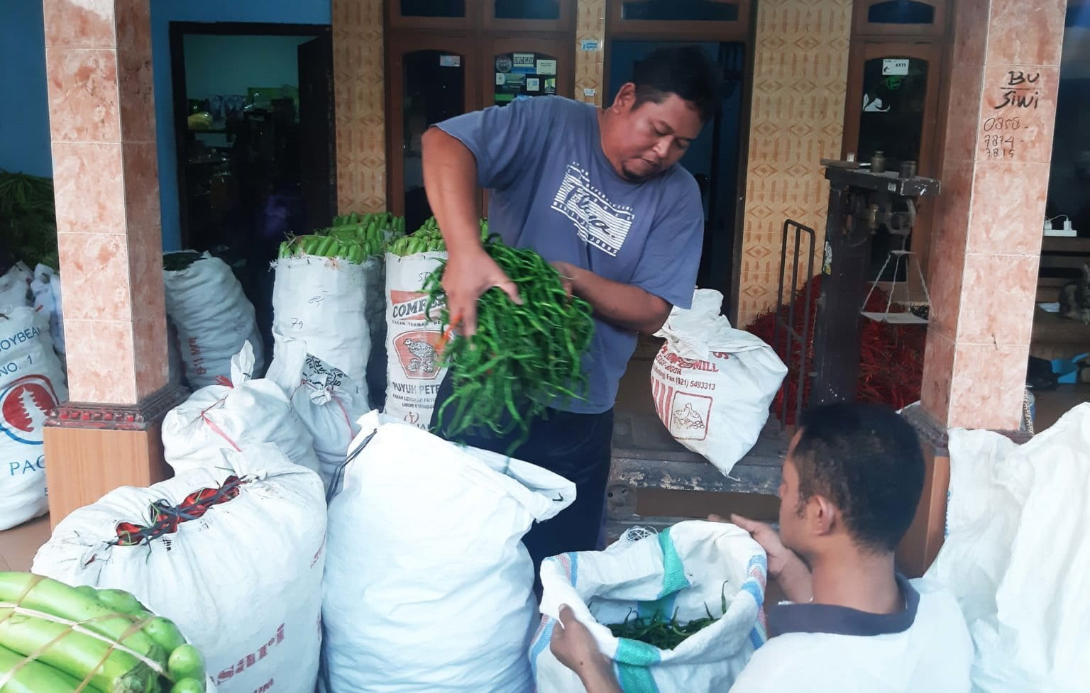 Hasil panen warga pesisir Kulonprogo/ Mongabay Indonesia