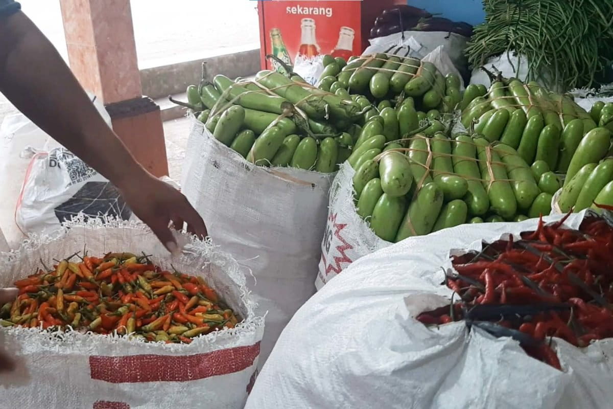 Beragam hasil panen petani pesisir Kulonprogo yang terancam tambang pasir. Foto: Lusia Arumingtyas/ Mongabay Indonesia
