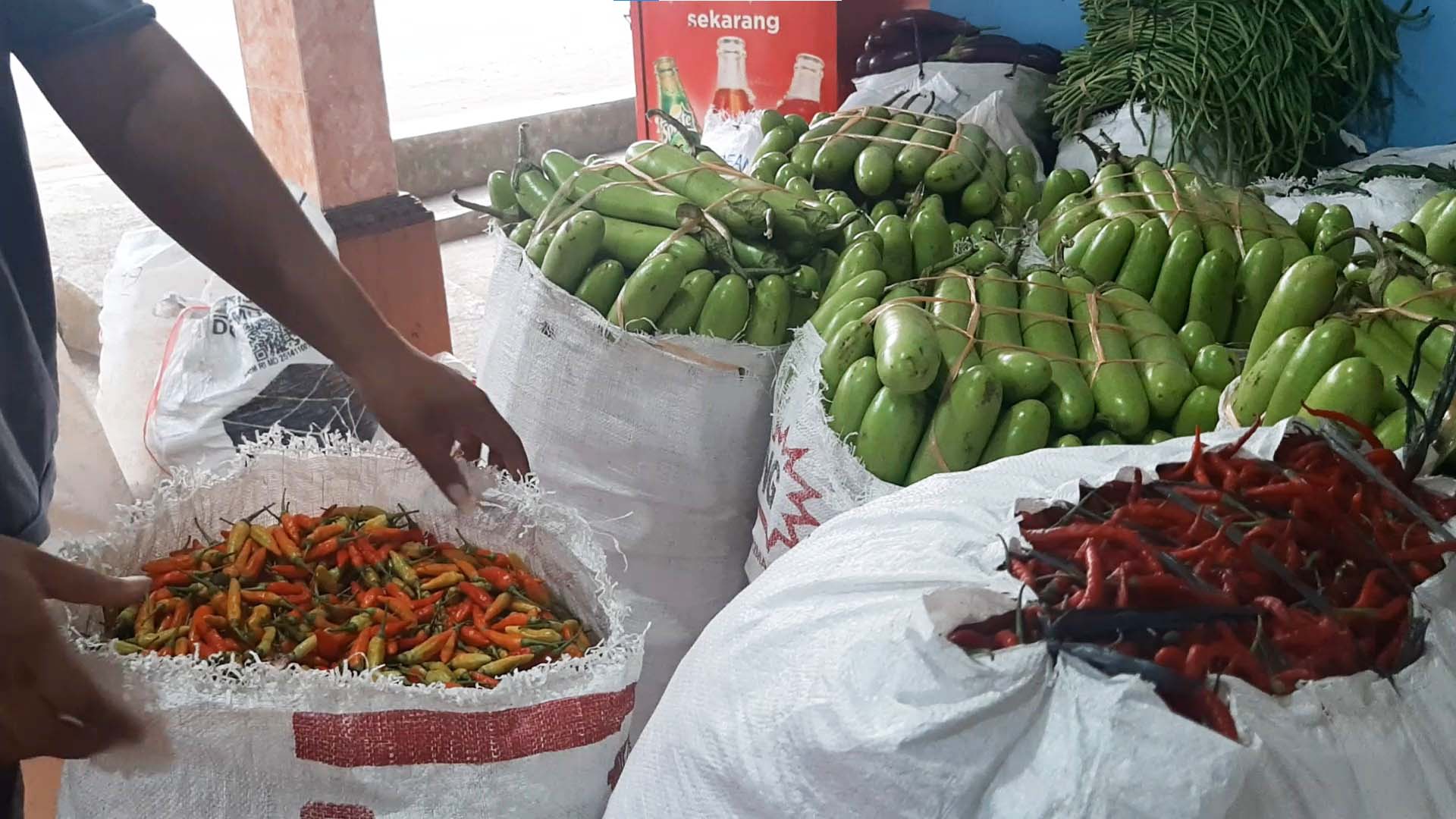 Hasil panen petani pesisir Kulonprogo. Foto: Tim Kolaborasi Liputan Agraria