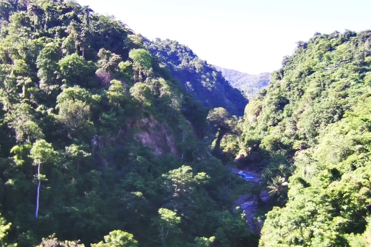 Konsesi tambang PT GM, berbatasan langsung dengan Taman Nasional Bogani Nani Wartabone . Foto: Sarjan Lahay
