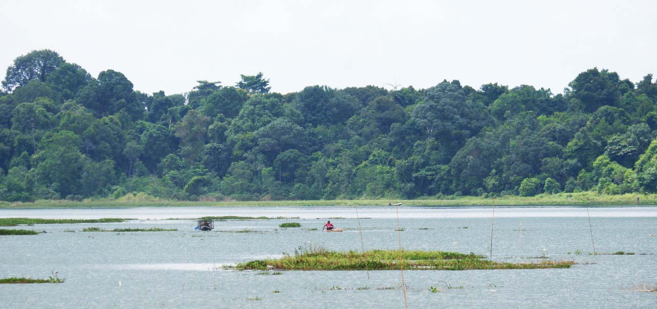 Kota Batam, bakal memiliki pembangkit listrik tenaga surya (PLTS) terapung terbesar di dunia dengan kapasitas 2,2 GWp dan membentang sekitar 1.600 hektar di Waduk Duriangkang. . Foto: Yogi Eka Sahputra/ Mongabay Indonesia