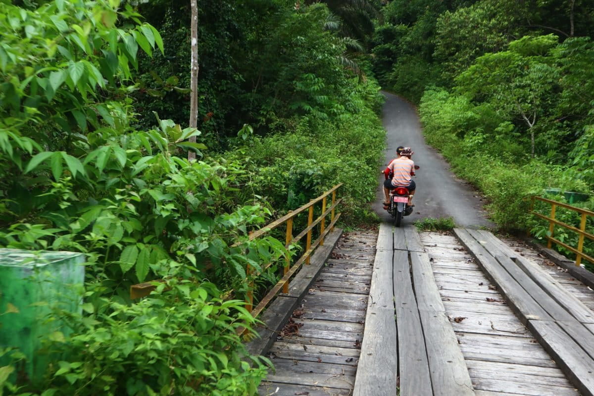 Kiri kanan jalan di Nagari Paru, hutan nan rimbun. Foto: Jaka HB/ Mongabay Indonesia