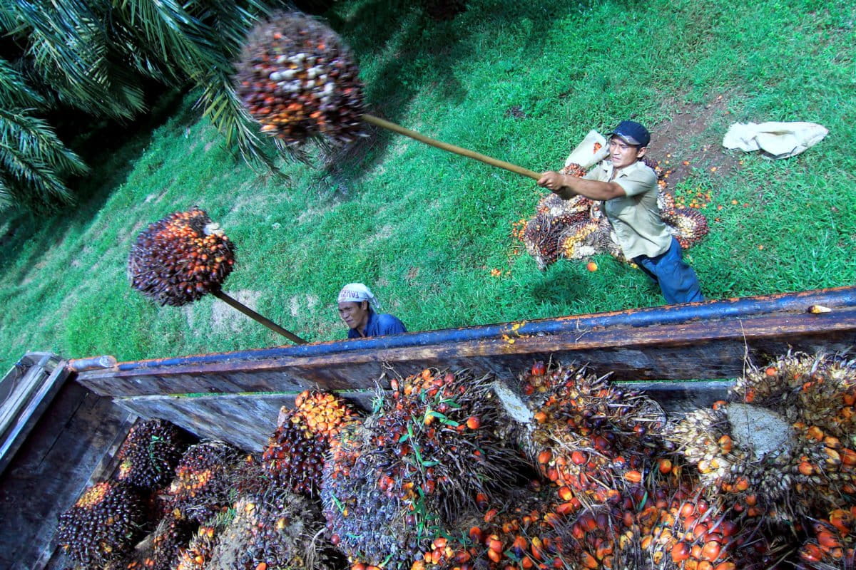 Ilustrasi. Shutterstock.com