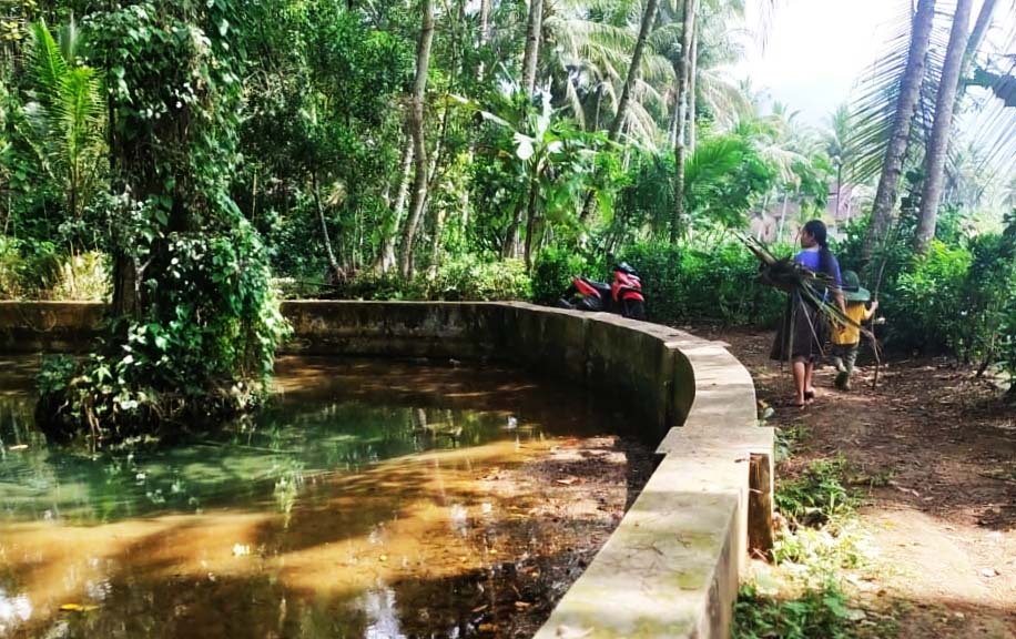 Telaga Ngudalan, Desa Karangrejo, Kecamatan Kampak yang menjadi sumber bagi warga sekitar. Trenggalek. Foto: A.Asnawi/ Mongabay Indonesia