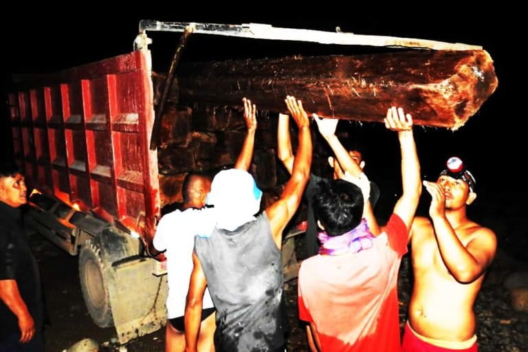 Petugas dibantu masyarakat menurunkan kayu-kayu hasil pembalakan liar di TNKS Lunang Sako, Pesisir Selatan, Jumat (5/11/2021). Foto: Vinolia/ Mongabay Indonesia.