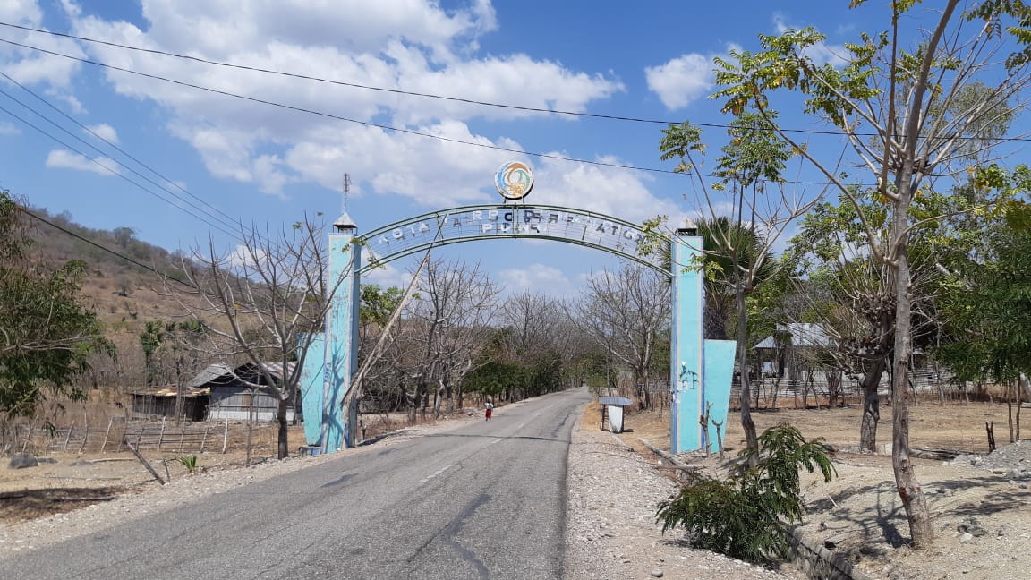 Pulau Timor, yang akan dibangun pembangkit listrik tenaga biomassa. Foto: dokumen PT CPI