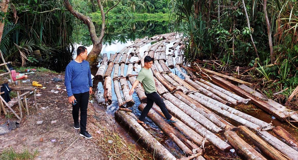 Kayu-kayu hasil pembalakan liar yang dihanyutkan dan berhasil diamankan petugas. Foto: Humas Polda Riau