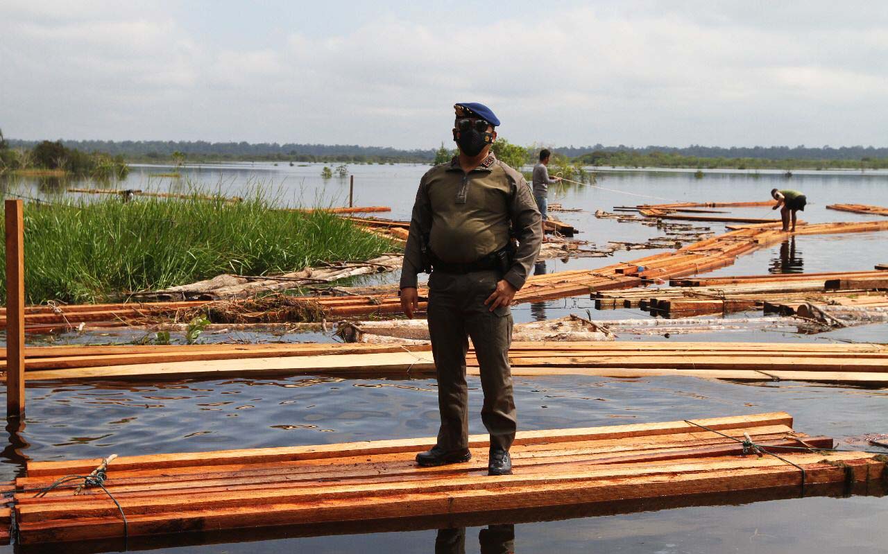 Kayu-kayu balak liar yang diamankan Polda Riau, November lalu. Foto: Humas Polda Riau