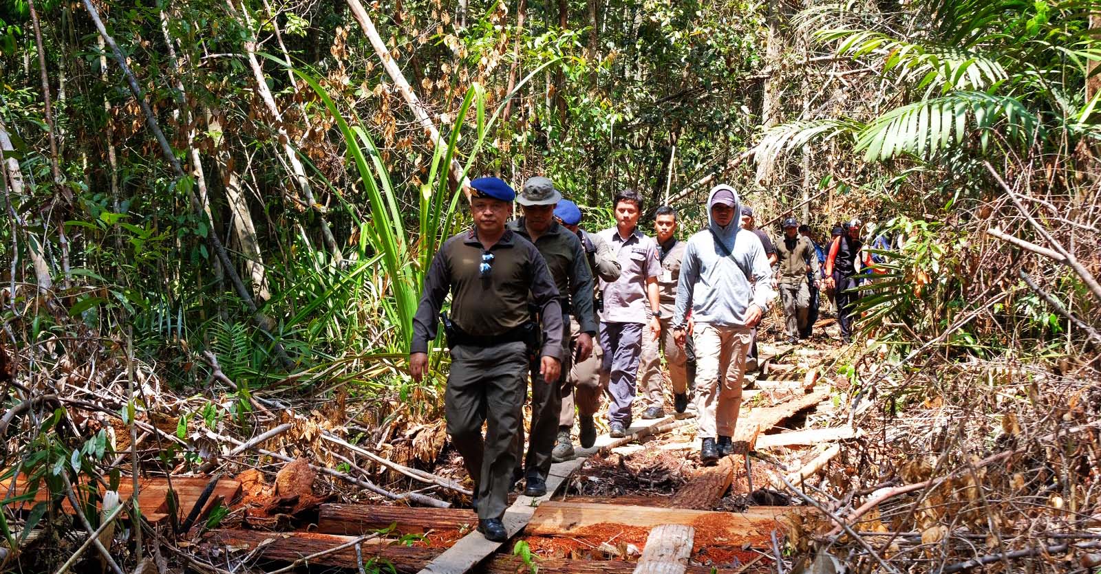 kata Irjen Pol Agung Setya Imam Effendi saat masih menjabat sebagai Kapolda Riau turun ke GSK mengawasi sekaligus menyita kayu-kayu pembalakan liar. Foto: Humas Polda Riau