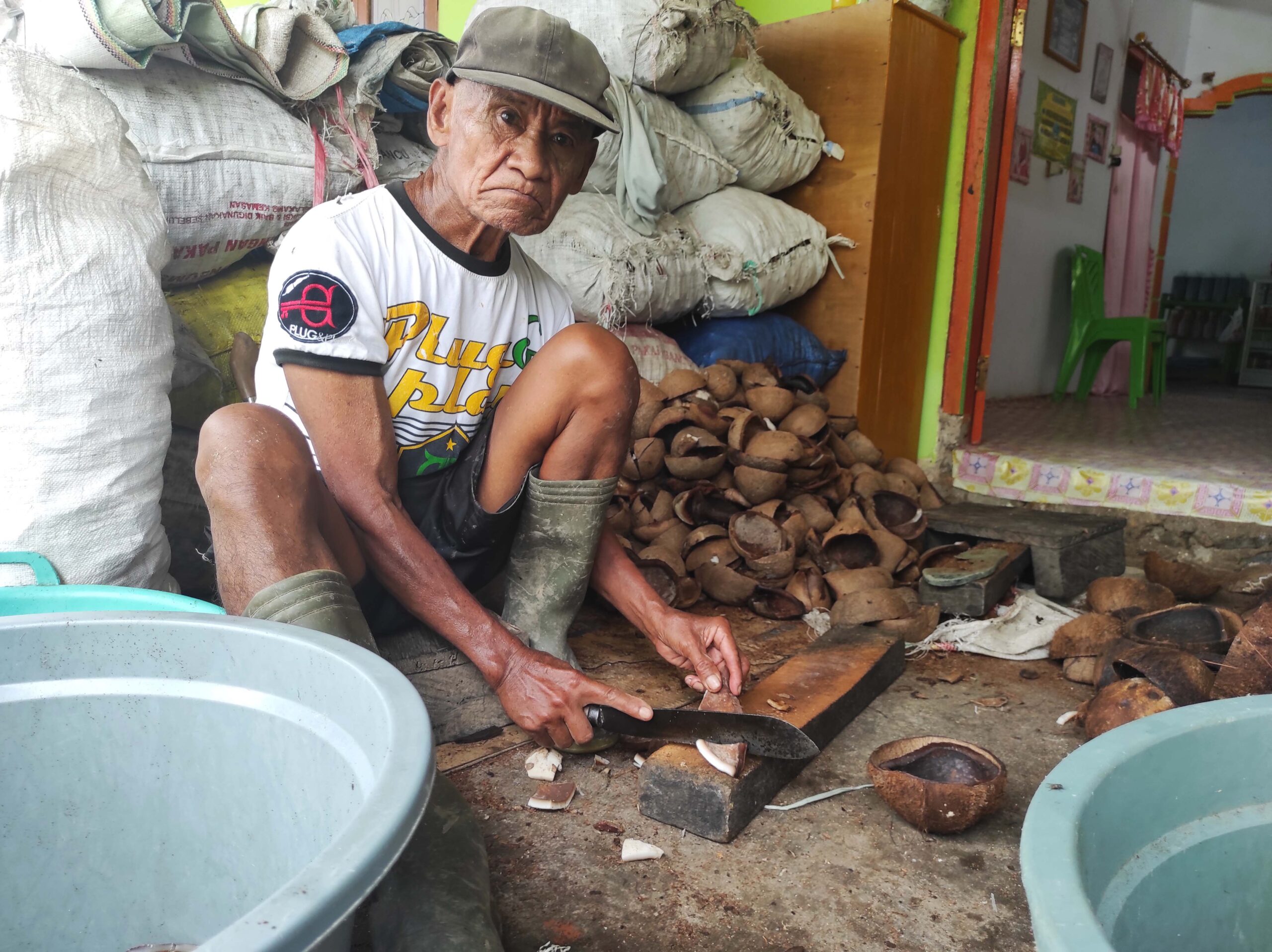 Usman Harum, tengah proses kelapa untuk jadi kopra. Kelapa salah satu tanaman andalan warga. Bagaimana nasib mereka kala kebun jadi bendungan? Foto: Sarjan Lahay/ Mongabay Indonesia