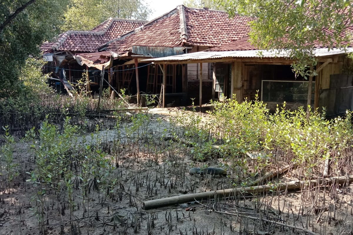 Rumah yang ambles karena penurunan muka tanah. Foto: A. Asnawi/ Mongabay Indonesia