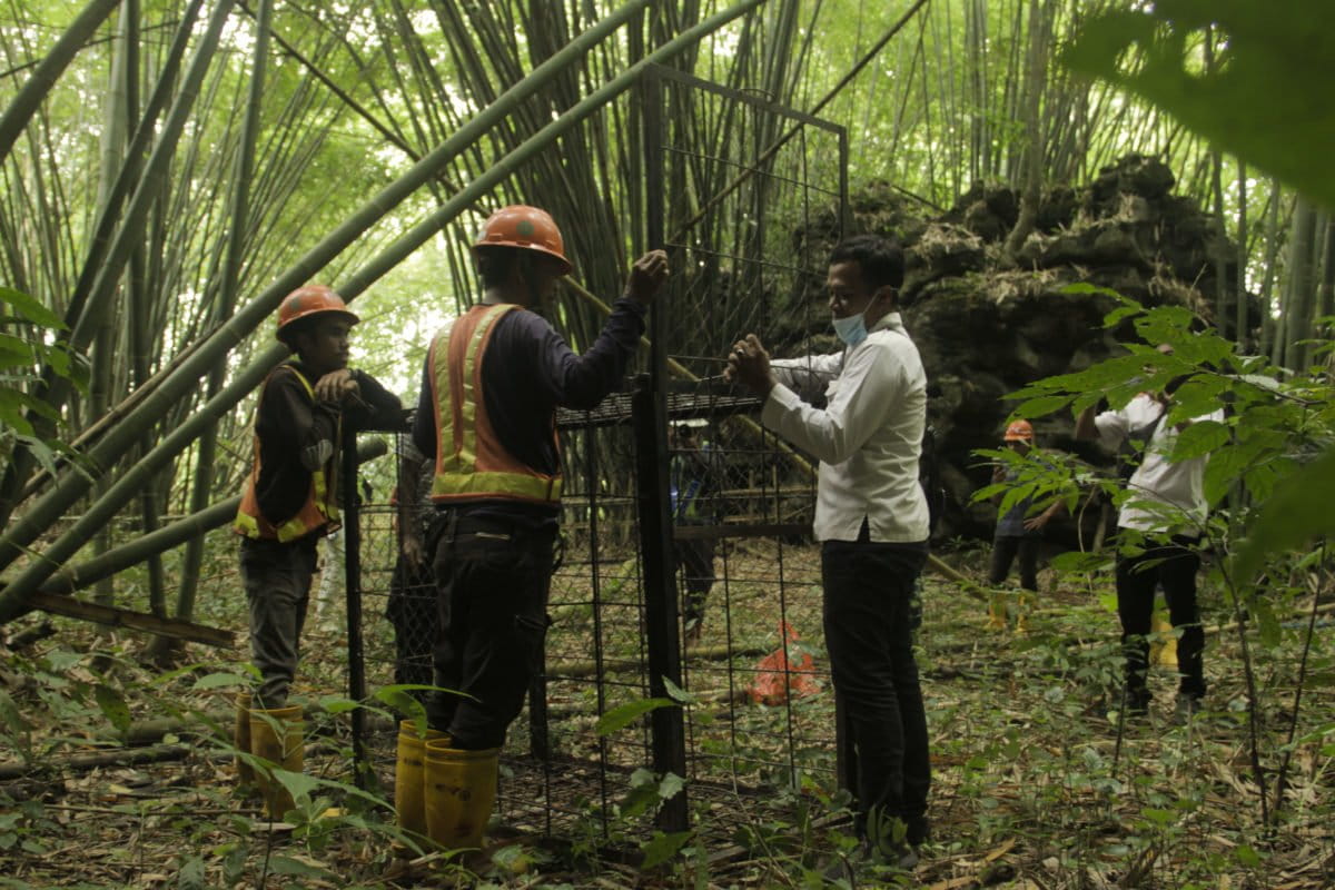 Proses pemasangan perangkap Macaca nigra di sekitar bukit karst di Pangkep, yang akan diledakkan untuk jalur rel kereta api. Foto: Eko Rusdianto/ Mongabay Indonesia