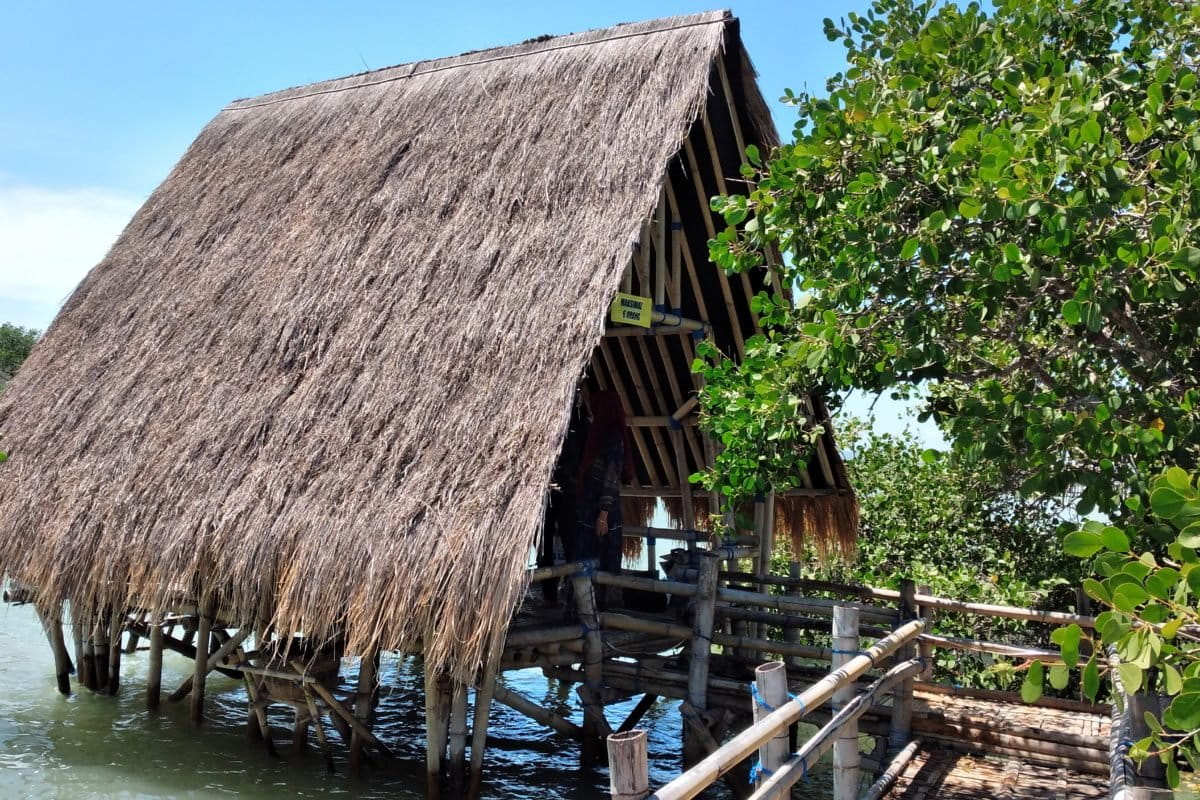 Gazebo bambu. Bambu jadi bahan yang dinilai ramah lingkungan karena tamabahn bisa tumbuh cepat dan mudah didapat. Foto: M Tamimi/ Mongabay Indonesia