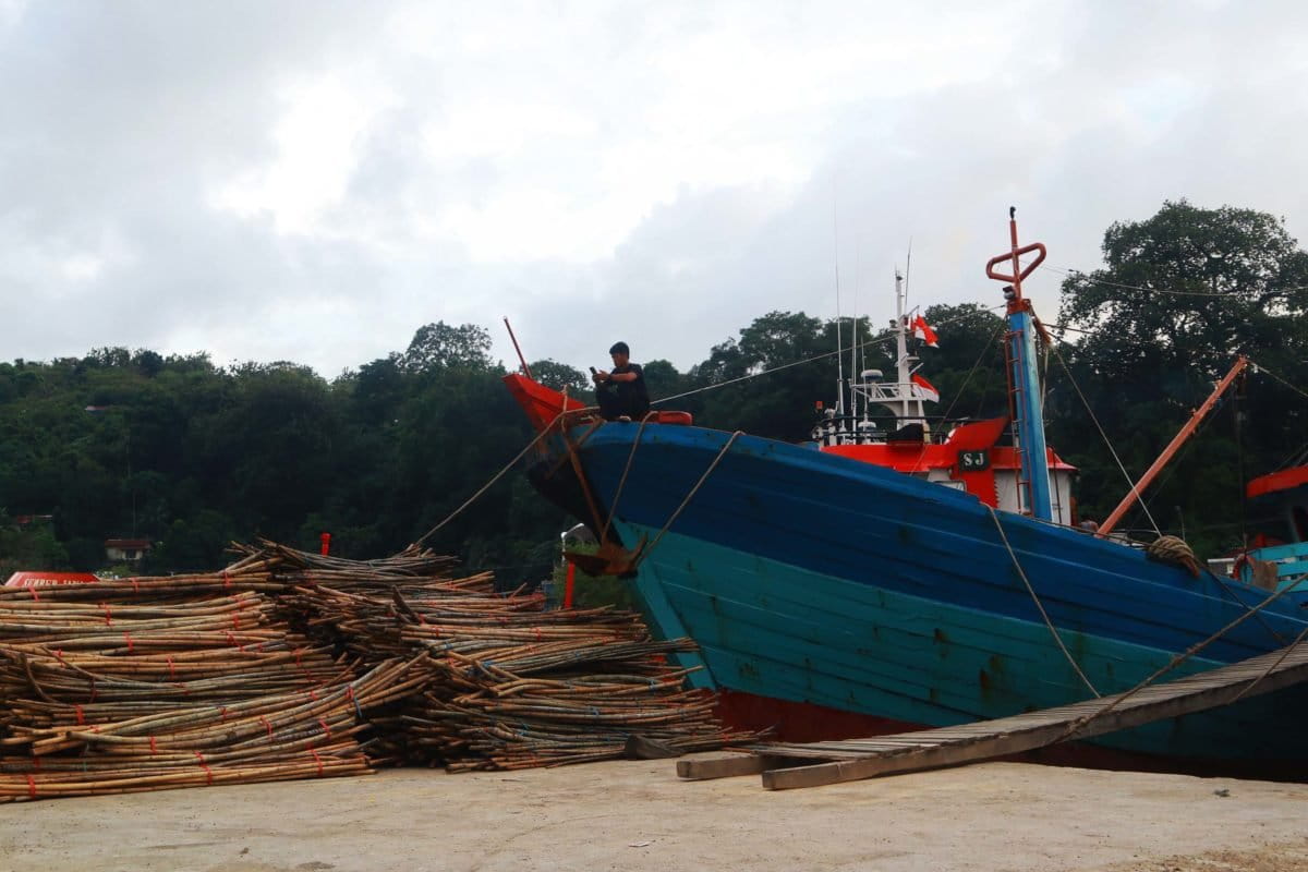 Rotan dari Taman Nasional Siberut, yang disita sudah dikeluarkan dari kapal di Sumbar. Foto: Jaka HB? Mongabay Indonesia