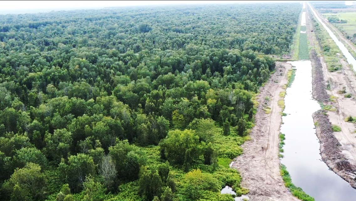 Kanal Limbah dan area konsesi PT Bumi Andalas Permai, Ogan Komering Ilir, Sumatera Selatan. Foto: Richaldo Hariandja/ Mongabay Indonesia