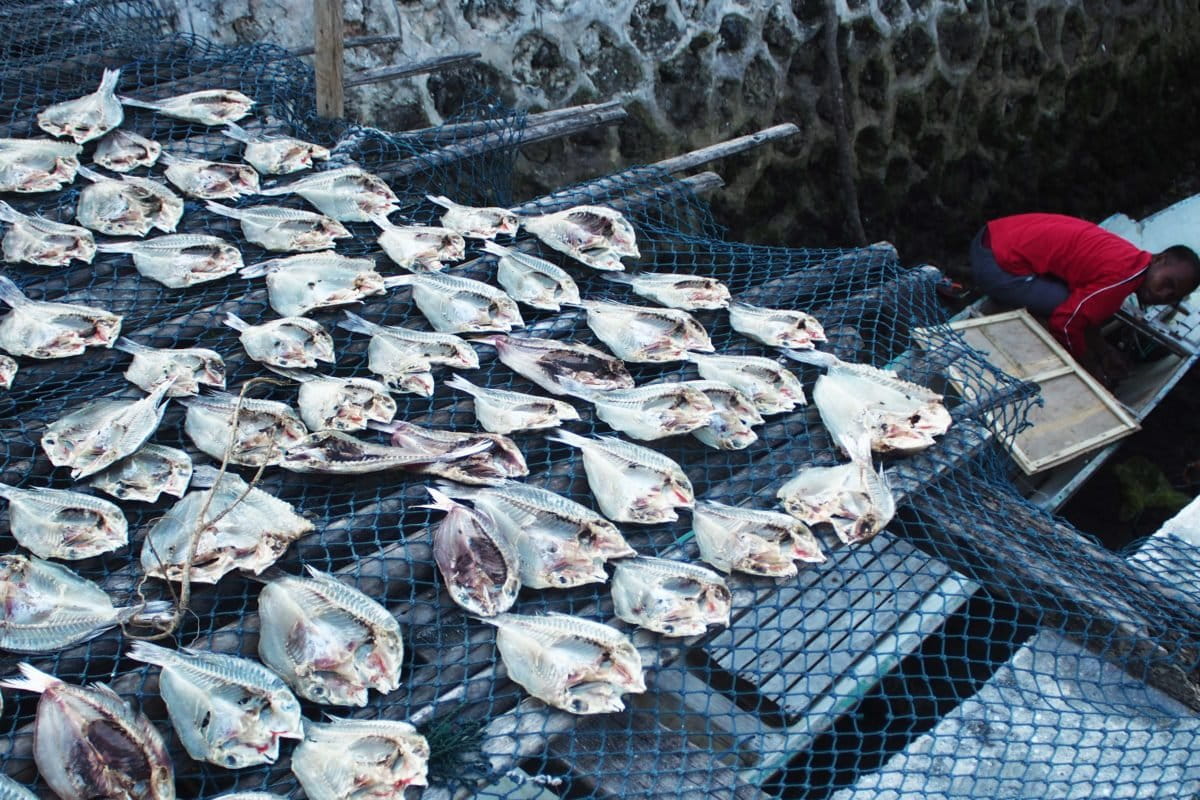 Cuaca ekstrem sering terjadi dalam Desember 2021 di Wakatobi. Nelayan pun pun sulit melaut hingga mereka tangkap ikan-ikan kecil di tepian dan jadikan ikan kering. Ikan ini sebagian mereka jual dan sebagian untuk konsumsi di masa cuaca tak menentu. Foto: Riza Salman/ Mongabay Indonesia