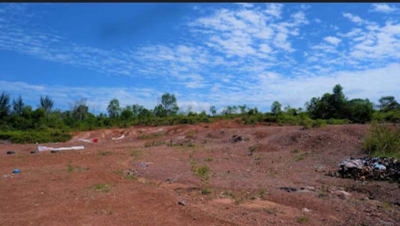 Pohon yang ditebanfg, hutan yang terbabat untuk 'pembangunan' di Batam. Foto: Yogi Eka Sahputra/ Mongabay Indonesia
